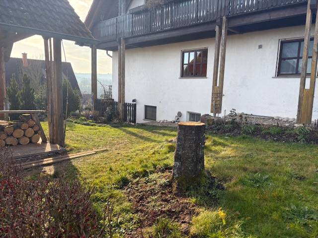 Elektroschubkarre ohne Batterien aber sonst zuverlässig