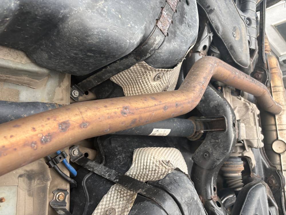 Kotzwürch Anzeige zum Testen