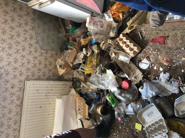 Makita Bagger schön und toll